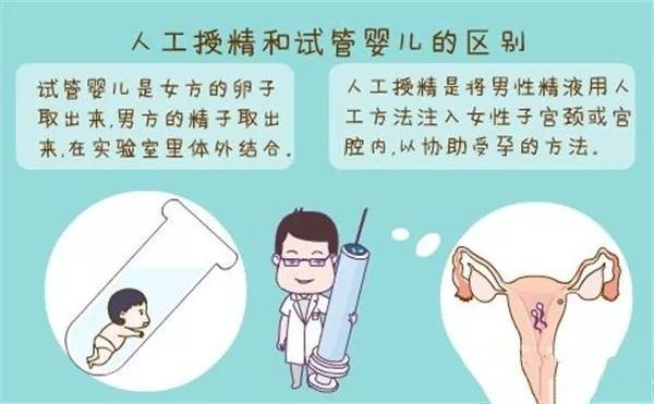 借卵试管代怀零风险(借卵试管代怀零风险,安心选择生育方式)