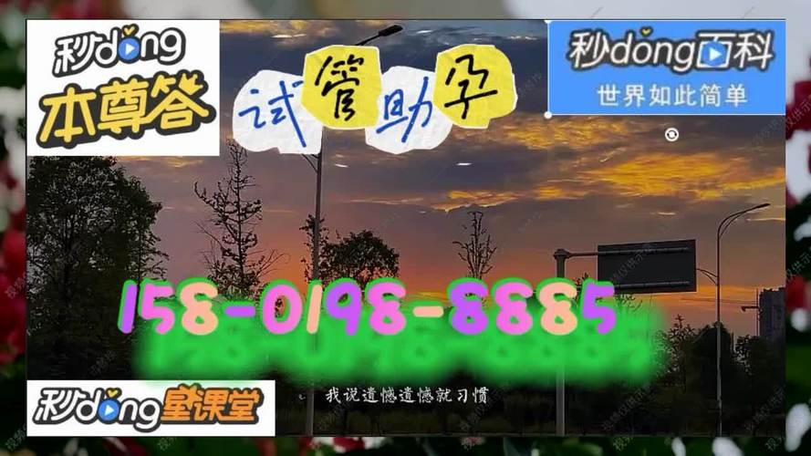 借卵试管代怀公司有哪些-借卵试管代怀公司有哪些服务?