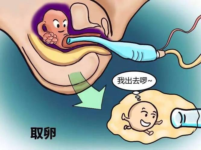 借卵试管代怀犯法吗_借卵试管代怀犯法?法律与伦理的界限在哪里?