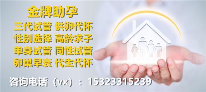 借卵试管代怀可以吗【借卵试管代怀是否合法?】
