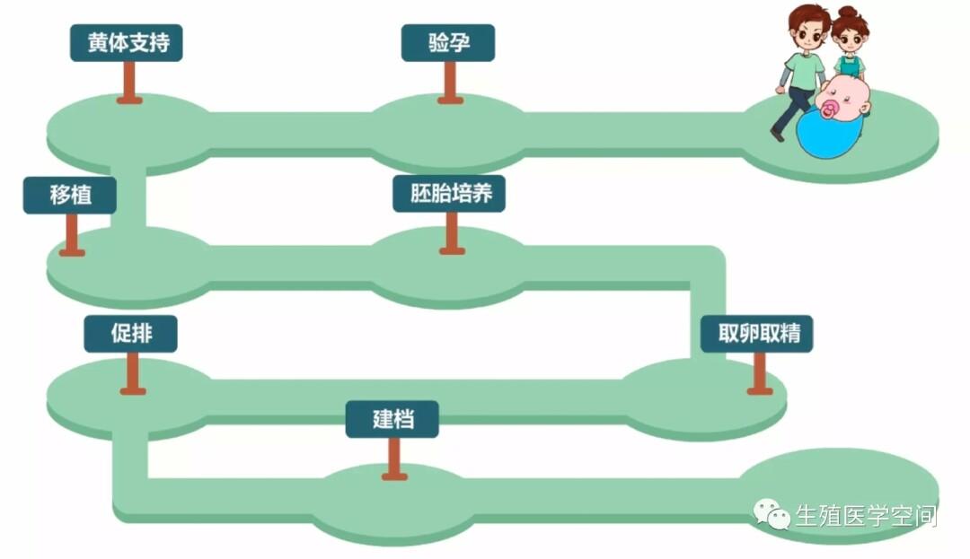 深圳试管供卵流程(深圳试管供卵流程详解)