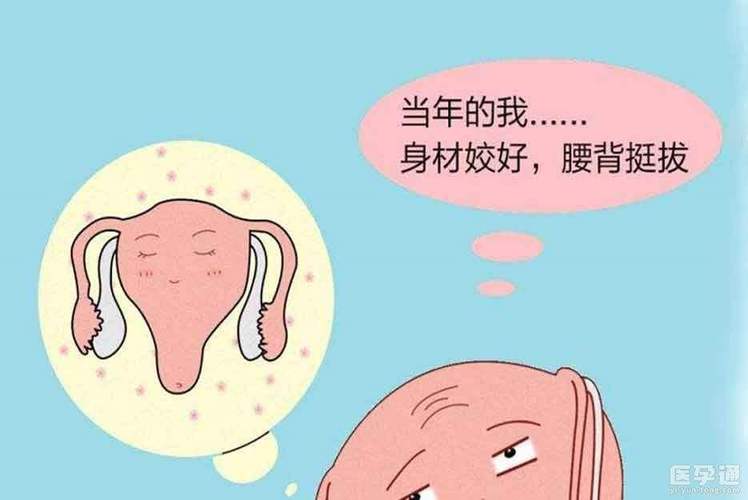 借卵生子对女人的危害_借卵生子：女性的健康危害